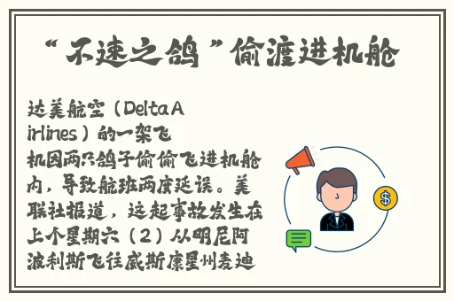免费网站看完你会回来感谢我的